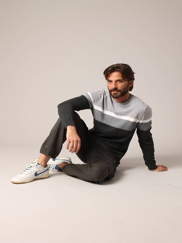 Pull-over 'TOASTER' Deeluxe en gris