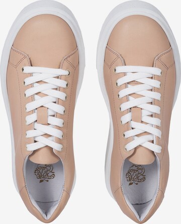 Apple of Eden Sneaker in Beige