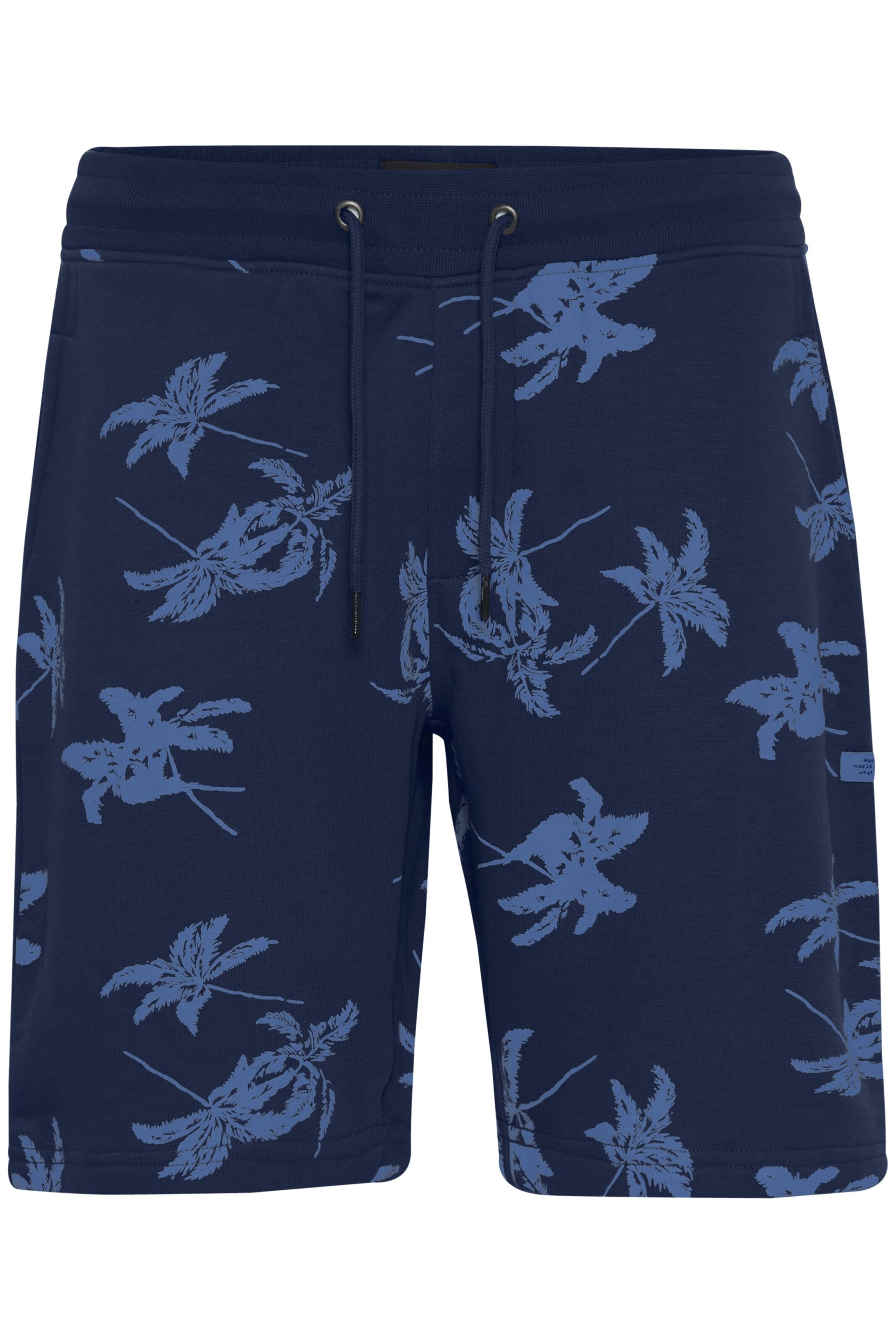 regular Pantaloni di BLEND in blu: frontale