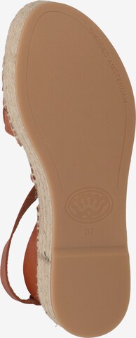 SHABBIES AMSTERDAM Strap Sandals in Brown