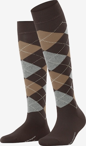 BURLINGTON Over the Knee Socks 'Marylebone' in Brown: front