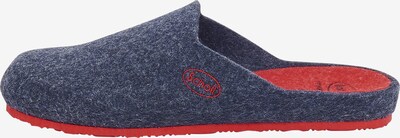 SCHOLL Hausschuhe 'LAYE' in blau / dunkelblau / rot, Produktansicht