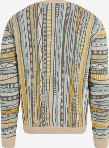 Iriedaily Regularny krój Sweter 'Theodore Summer' w kolorze beżowy