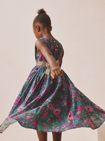 mėlyna Next Suknelė