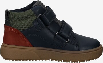 GEOX Sneakers in Blauw