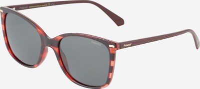 Polaroid Lunettes de soleil '4108/S' en gris / grenadine / rouge foncé, Vue avec produit