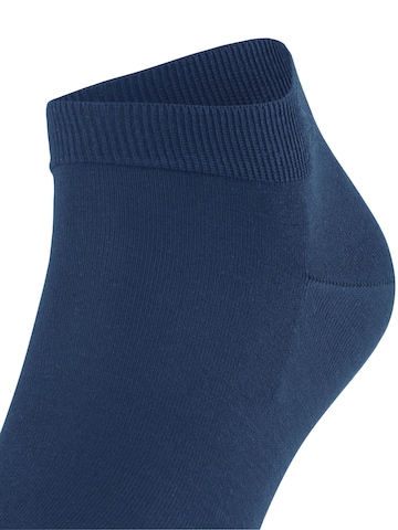 FALKE Socks 'ClimaWool' in Blue