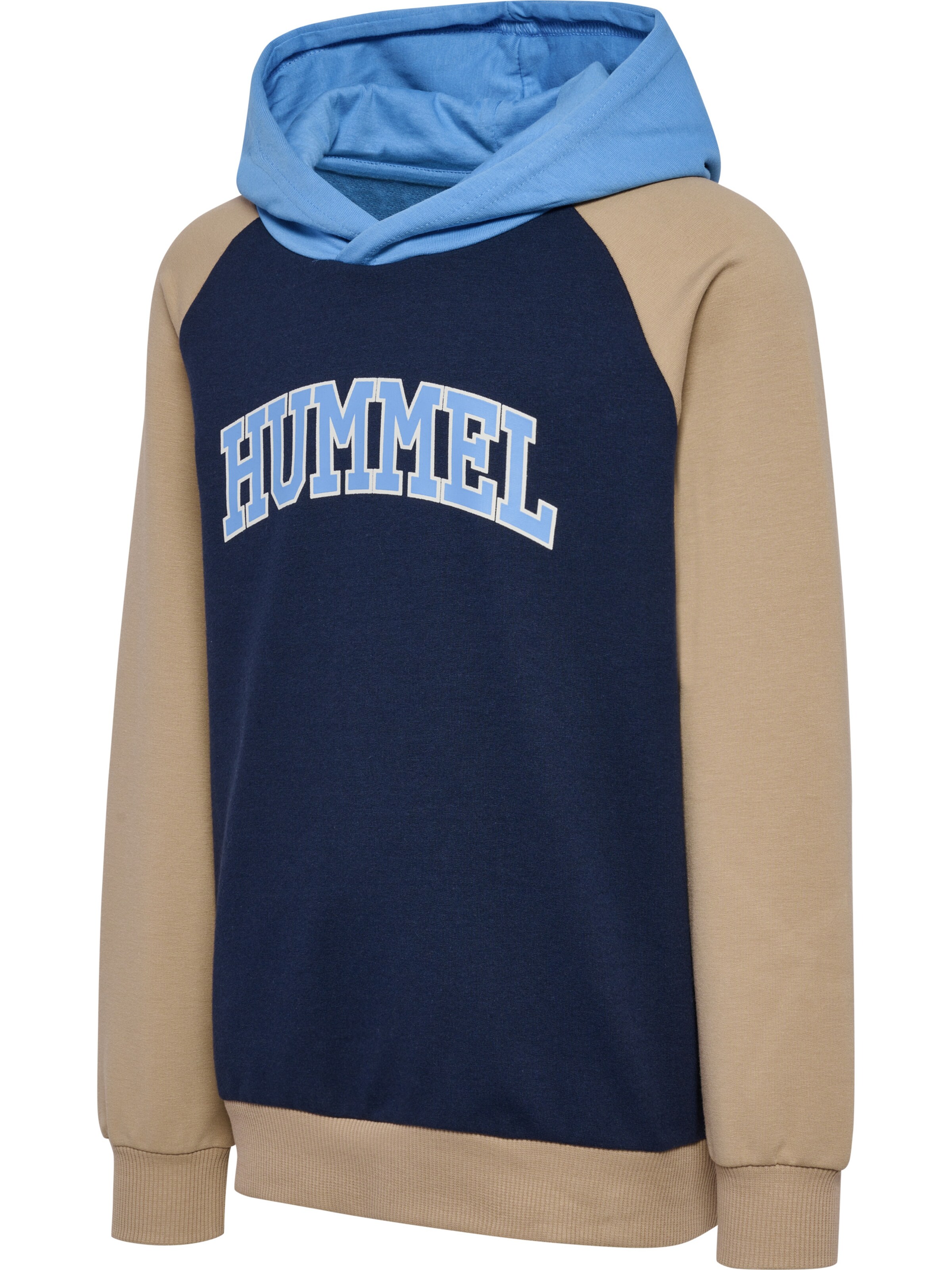 Hummel Sweatshirt 'Essen' i blå