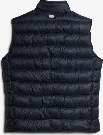 Superdry Bodywarmer in Blauw