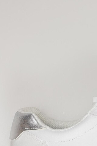 Calvin Klein Sneakers & Trainers in 39 in White