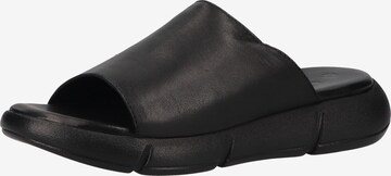 ILC Mules in Black: front