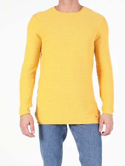Colin's Sweater in Yellow, Item view