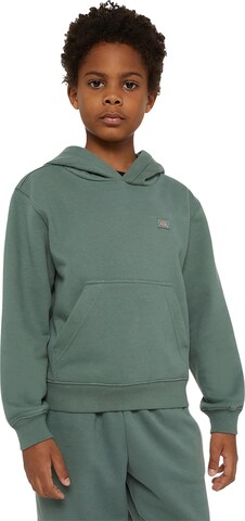 DICKIES Sweatshirt 'Youth Oakport' i grön