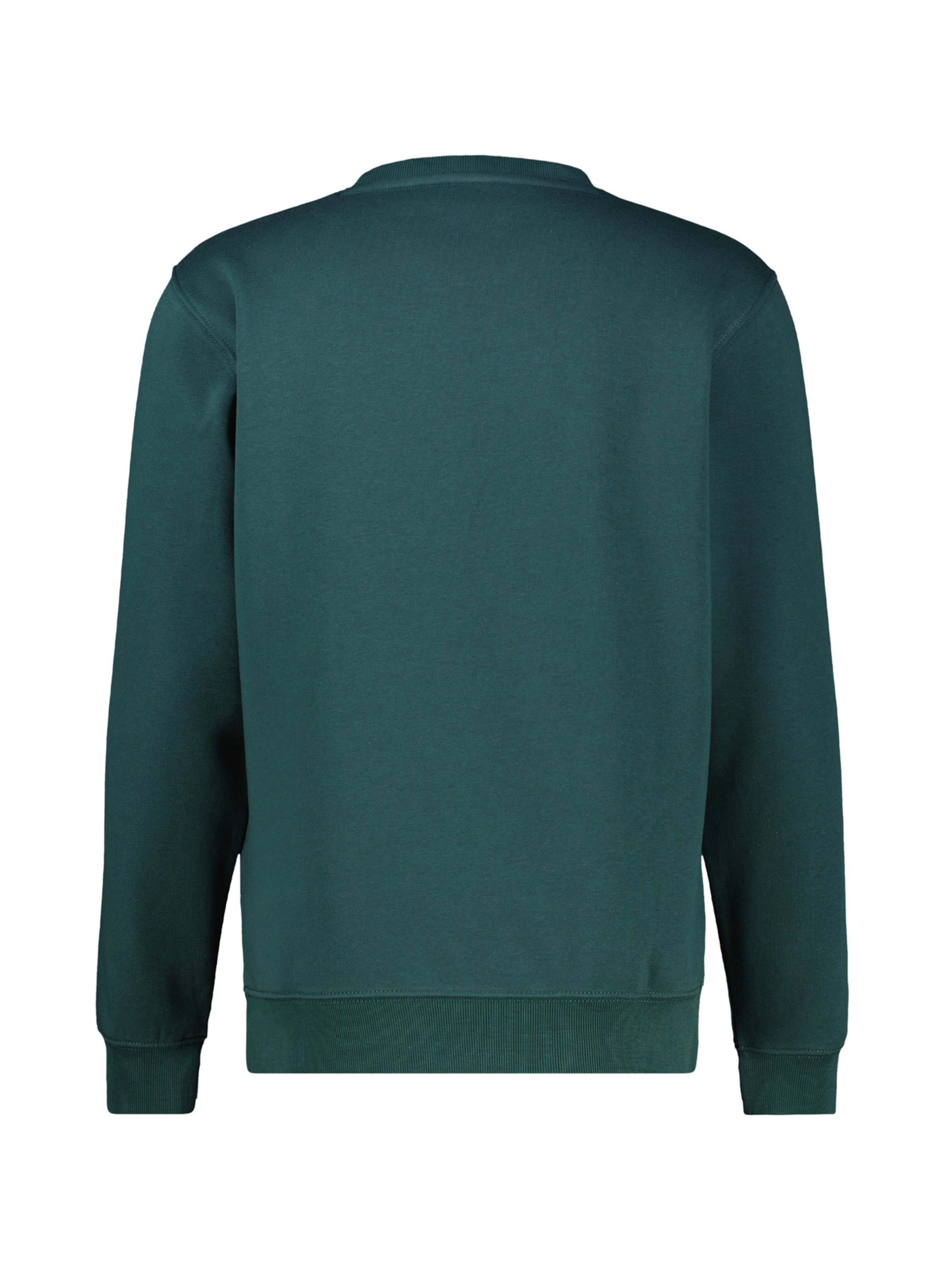 LERROS Sweatshirt in Groen