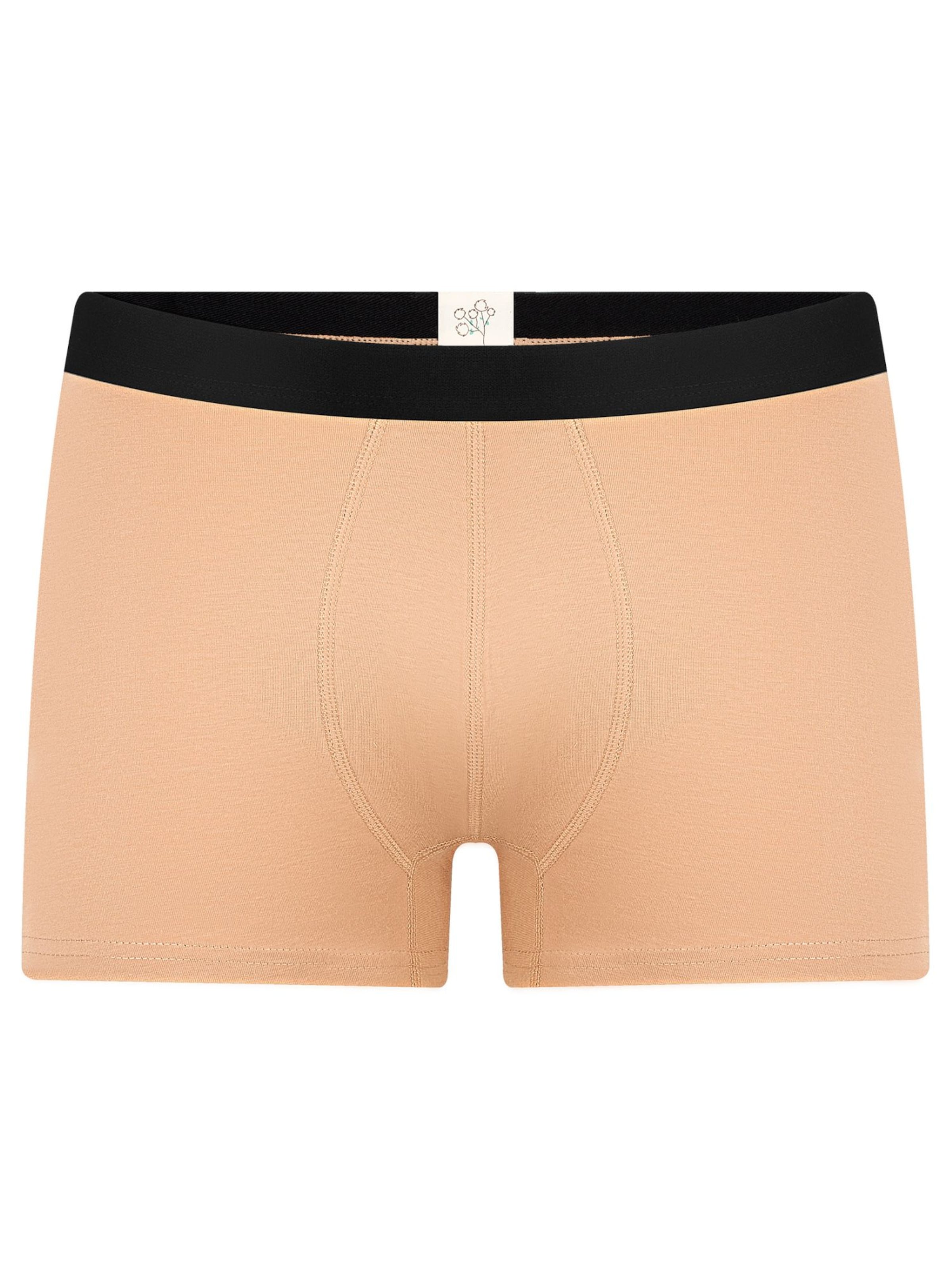 Albero Natur Boxer shorts 'Herren Trunkshorts aus Bio-Baumwolle' in Brown: front