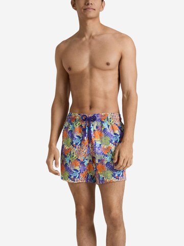 Vilebrequin - Bermudas en azul: frente