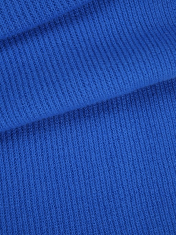 mėlyna & Other Stories Šalikas