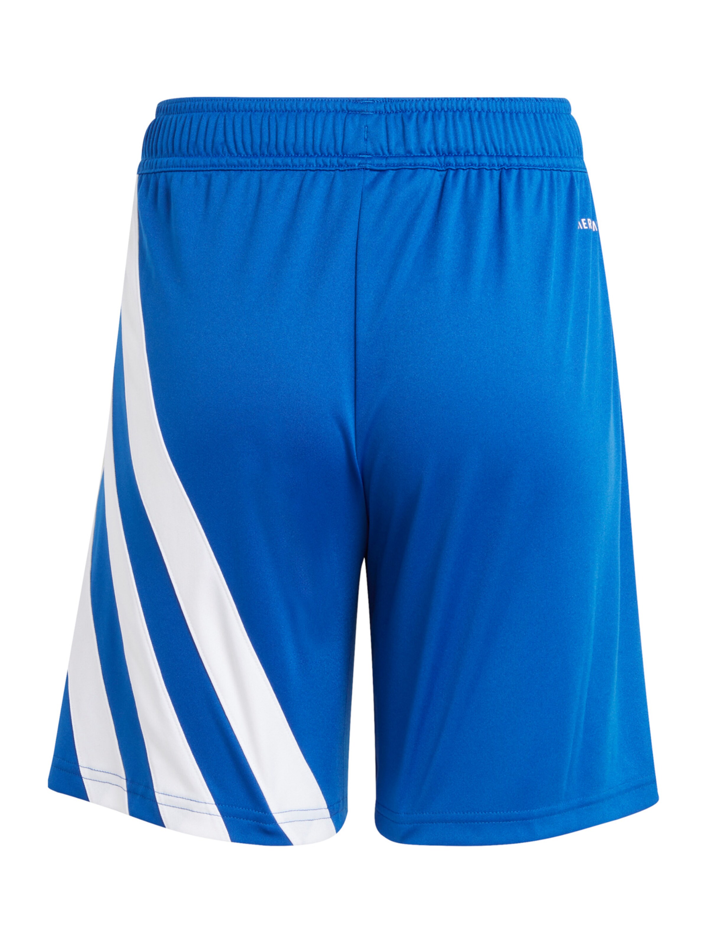 ADIDAS PERFORMANCE Regular Sporthose 'Fortore 23' in Blau