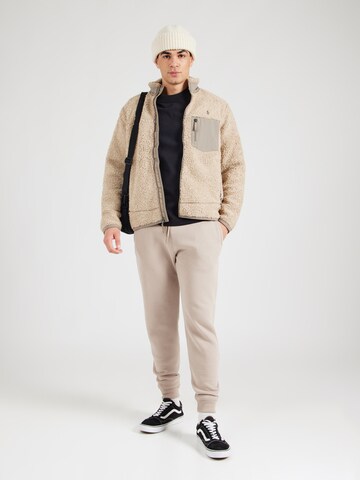 HOLLISTER - Tapered Pantalón en marrón