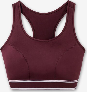 SHEEGO Bralette Sports Bra in Purple: front