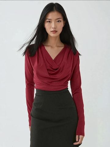 Camicia da donna di Hiccup in rosso: frontale