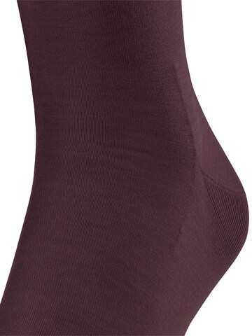 FALKE Kniestrümpfe 'ClimaWool'‌‌‌‌‌‌‌‌ in Rot