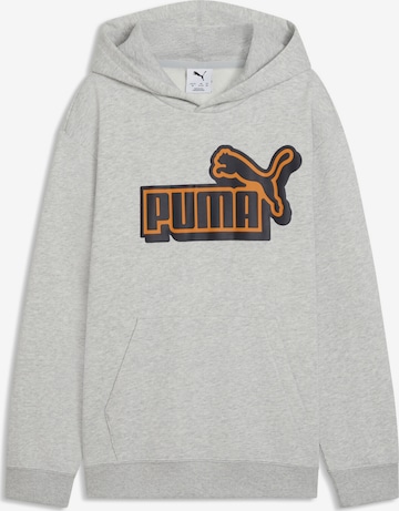 PUMA Sweatshirt 'Essentials' in Grau: Vorderseite