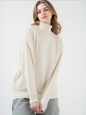 Bigdart Trui in Beige