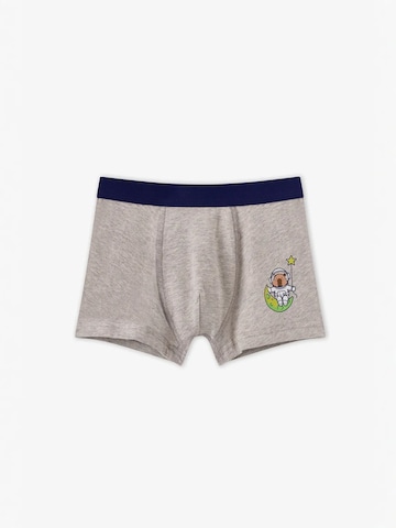 Penti Alsónadrág 'PENTI Jungen Boxershorts Capybaras Space' - vegyes színek