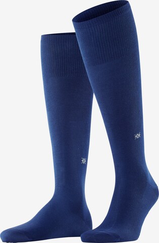 BURLINGTON Kniestrümpfe 'Dublin' in Blau: Vorderseite