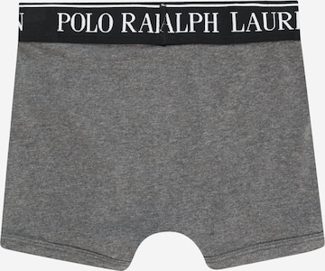 Polo Ralph Lauren Spodnjice | siva barva