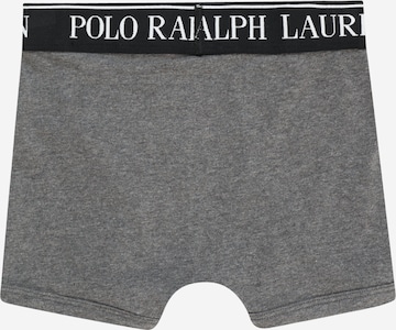 Polo Ralph Lauren Boxershorts in Grau