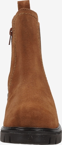 SALAMANDER Ankle Boots in Brown