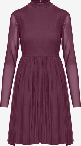 purpurinė Funky Buddha Suknelė: priekis