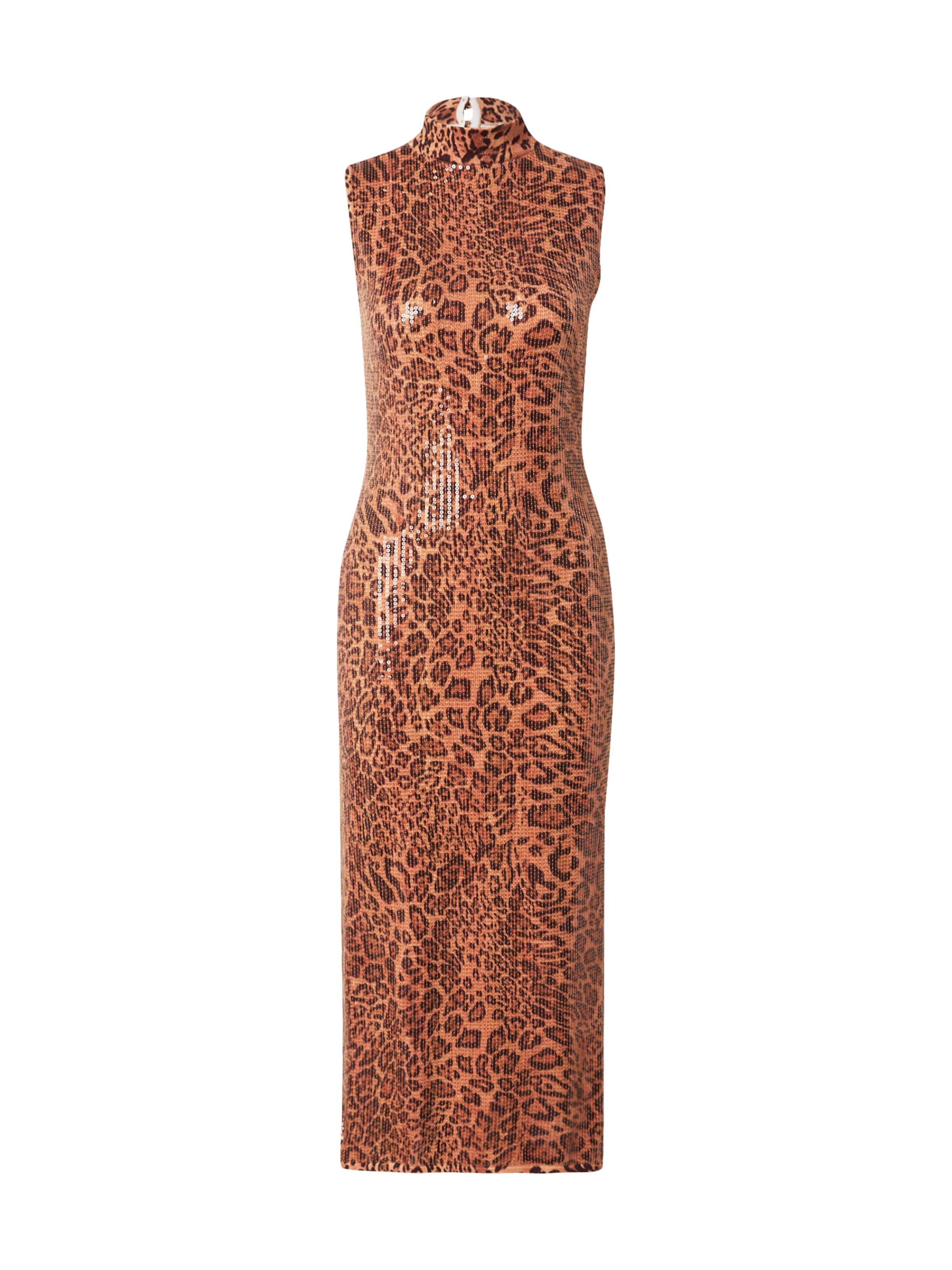 Robe Twinset en marron : devant