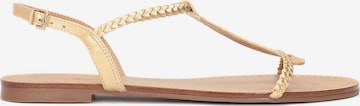 Kazar Strap Sandals in Gold