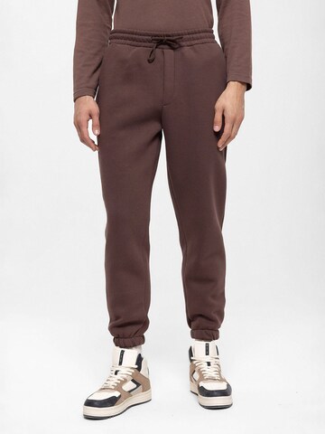 Antioch Tapered Trousers in Brown