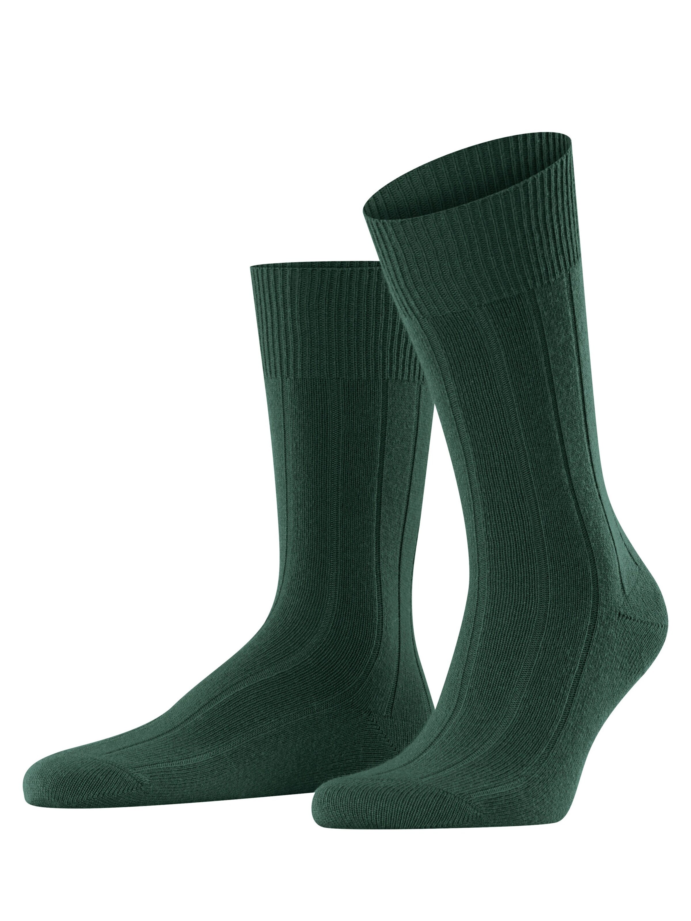 FALKE Socks 'Lhasa Rib' in Green: front