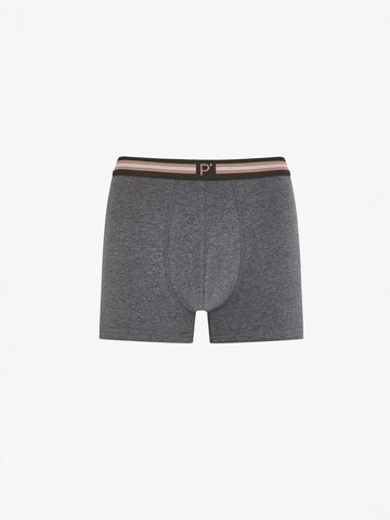 Penti Boxershorts 'PENTI Herren Boxer Ember gestreift'‌‌‌‌‌‌ in Braun