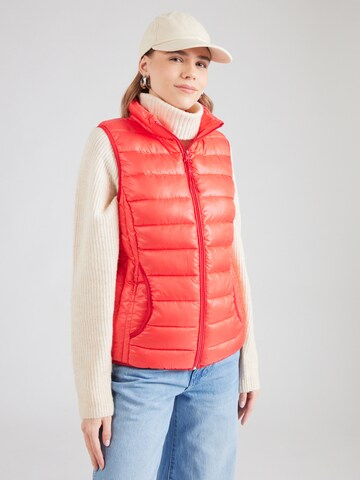 Gilet di QS in rosso: frontale
