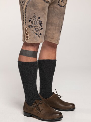 Chaussure à lacets 'Haferl Greith' SPIETH & WENSKY en marron : devant