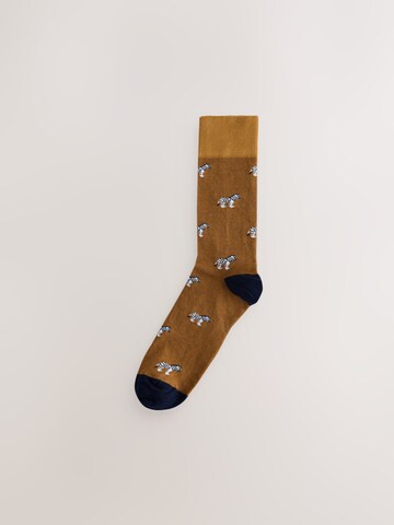 Next Socks in Blue