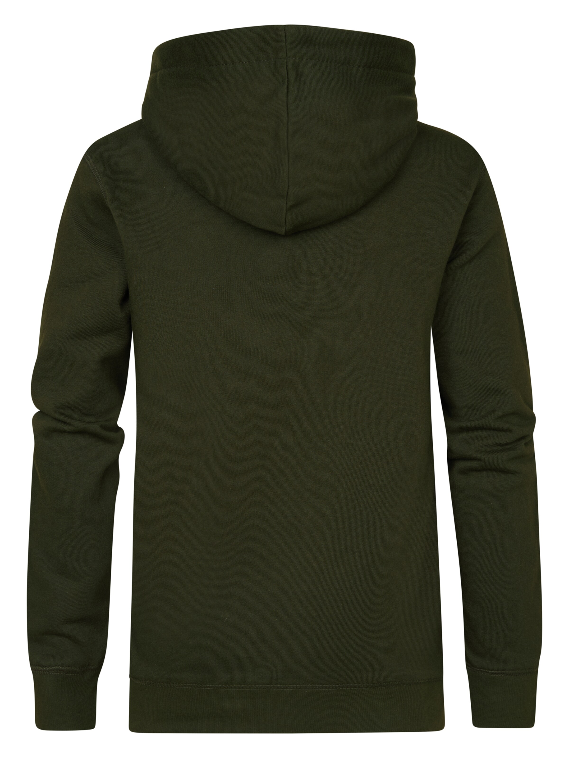 Petrol Industries Sweatshirt 'White Mountain' in Grün