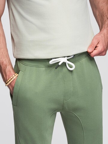 Ombre Tapered Trousers in Green