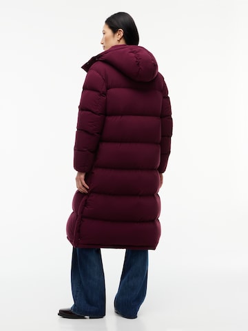 purpurinė Tommy Jeans Žieminis paltas 'Alaska'