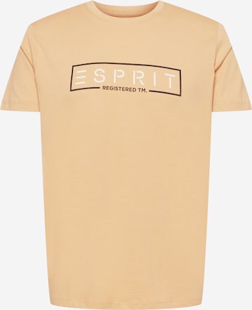 bēšs ESPRIT T-Krekls: no priekšpuses