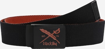 Iriedaily Belt 'Flip the Side' in Brown: front