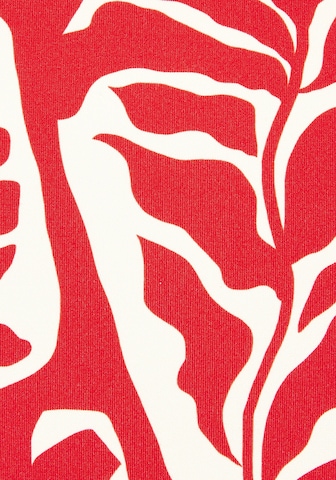 BUFFALO Bikinibroek in Rood