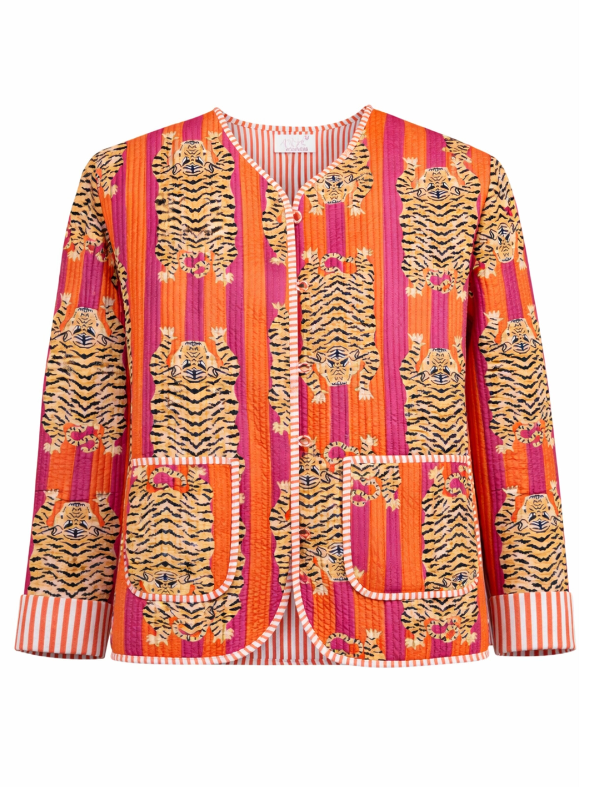 ASHINDIA Between-Season Jacket in Mixed colors: front