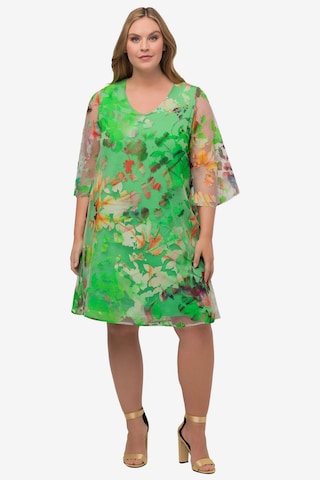 Ulla Popken Cocktail Dress in Green